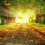 26歳は旅に出る最適の年齢なのか