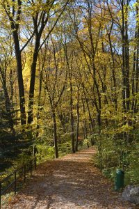 ポーランド最小！オイツフ国立公園で「ポーランド黄金の秋」を楽しむ