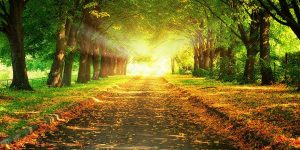 20歳になったら「親ブロック」は外しなさい