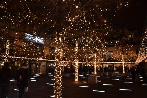 ワルシャワで今一番旬？Hala Koszykiの楽しみ方！