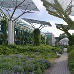 夏に訪れたいワルシャワ大学付属図書館の屋上庭園