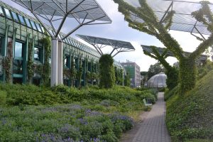 夏に訪れたいワルシャワ大学付属図書館の屋上庭園