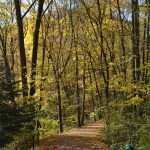 ポーランド最小！オイツフ国立公園で「ポーランド黄金の秋」を楽しむ