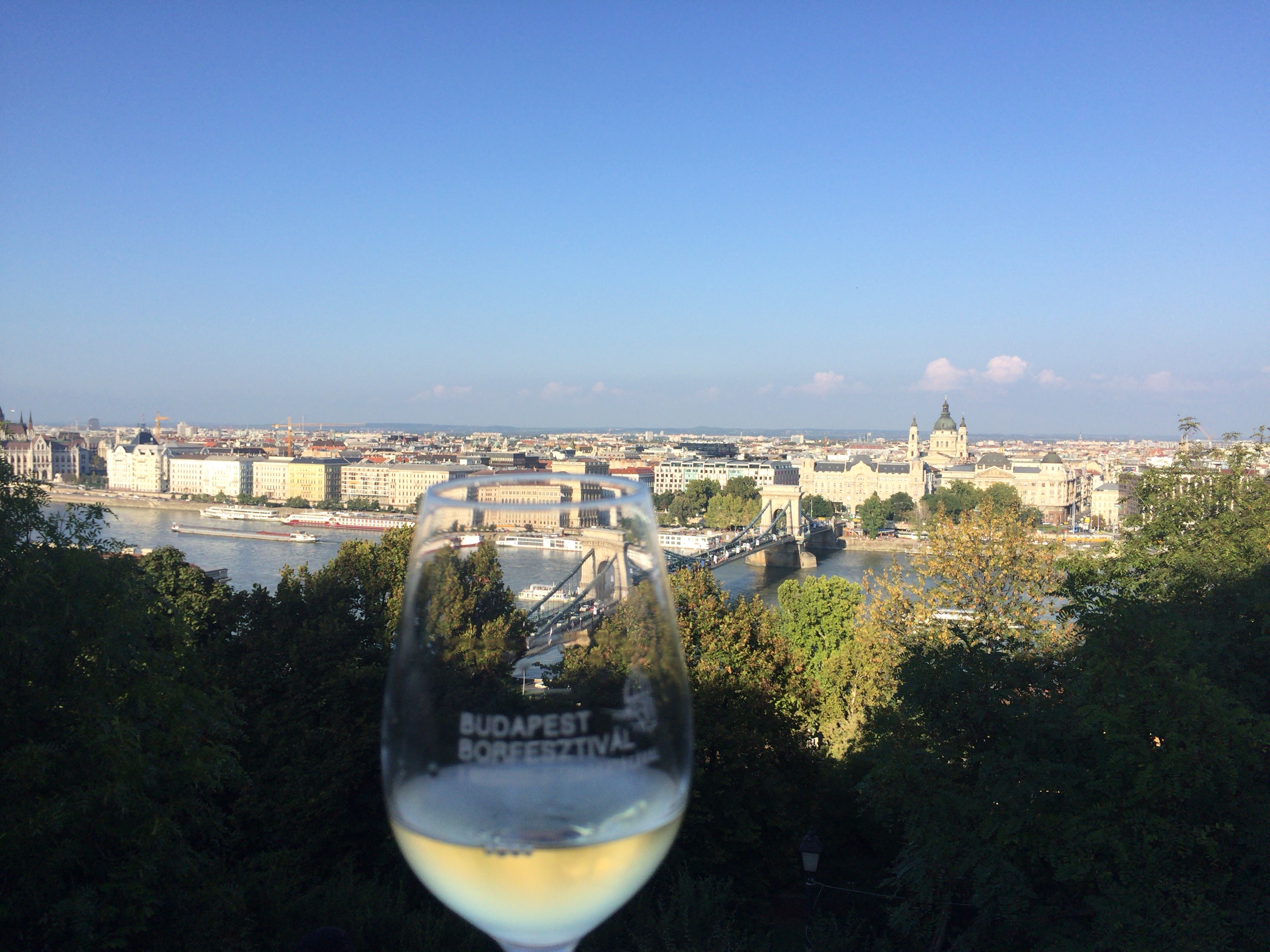 毎年9月頭に開催！ブダペストのワイン祭の楽しみ方と期間中の注意点