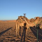 マラケシュ発1泊2日の砂漠ツアーに参加！申し込み方法やツアー中の注意点と、旅の様子を振り返る