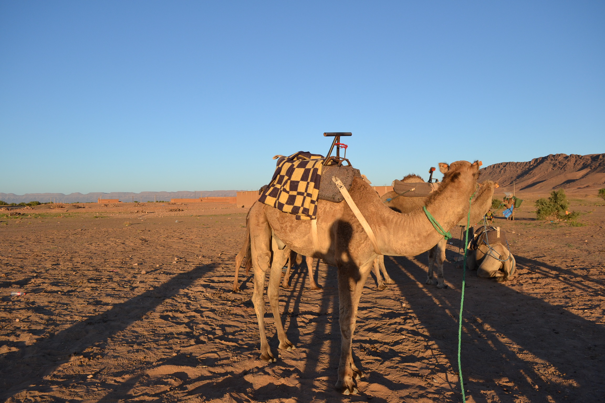 マラケシュ発1泊2日の砂漠ツアーに参加！申し込み方法やツアー中の注意点と、旅の様子を振り返る