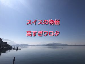 【高すぎワロタ】スイス旅行で実際に目にした物価の高さを全て公開!(食費・交通費がメイン)