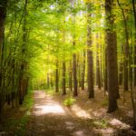 2019年に読まれた記事ベスト10