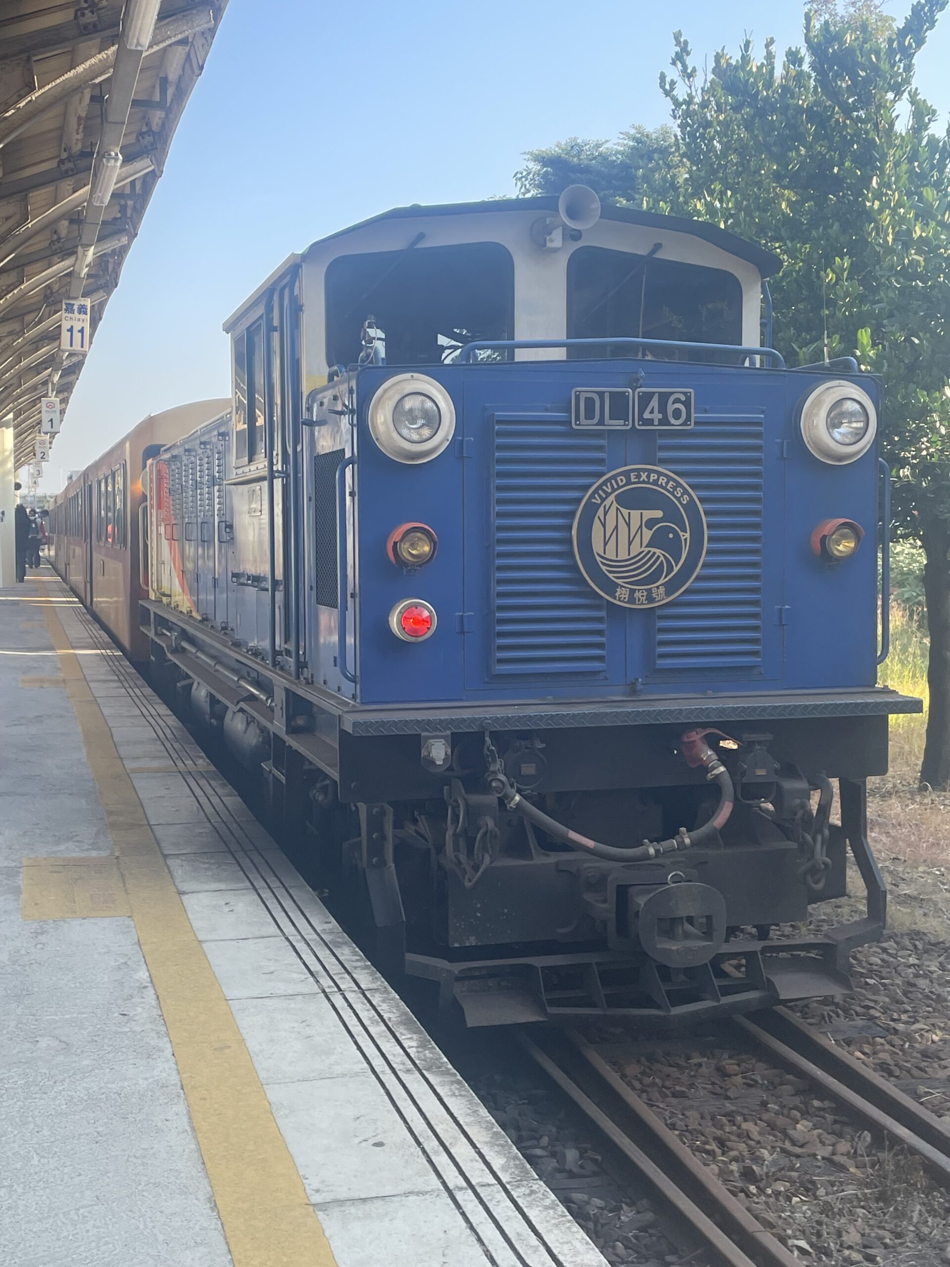 阿里山森林鉄道完全ガイド|予約・行き方・モデルコースまとめ