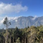 奮起湖から阿里山までの行き方｜バス移動の方法・所要時間・注意点【2026年】