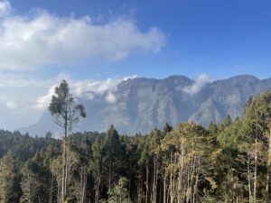 奮起湖から阿里山までの行き方｜バス移動の方法・所要時間・注意点【2026年】