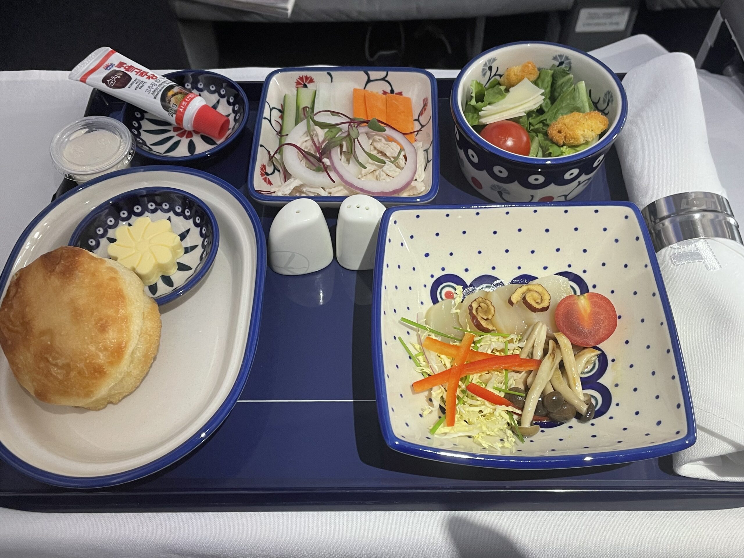 LOTポーランド航空LO2006便ビジネスクラス搭乗記|ソウル仁川→ブロツワフ、787-9のW字運用を体験